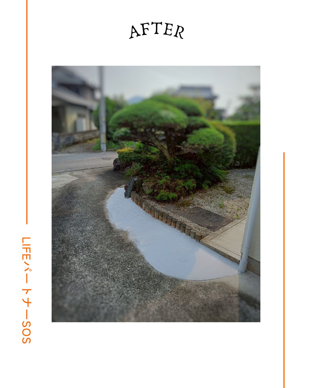 aaa